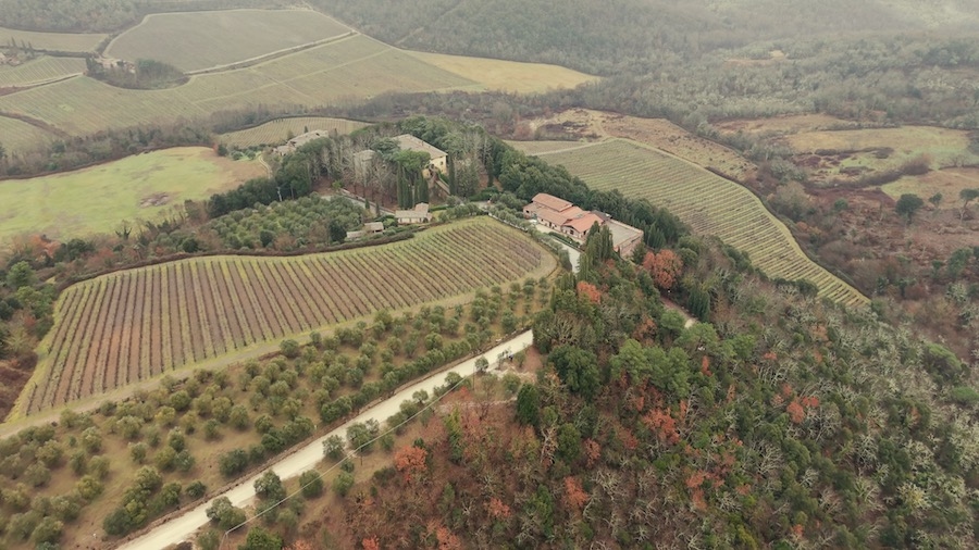 Территория Fattoria della Aiola