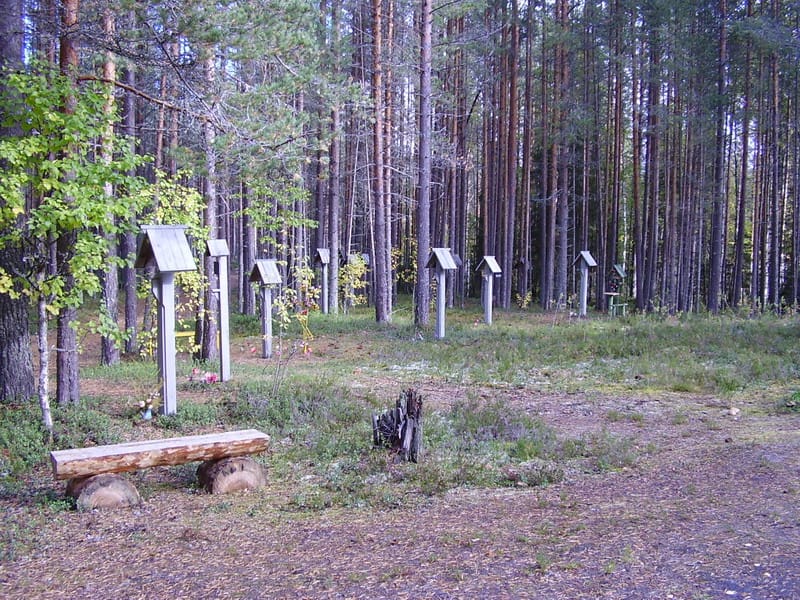 Родственники расстрелянных потребовали отменить раскопки РВИО в Сандармохе. На месте расстрелов хотят искать останки советских солдат